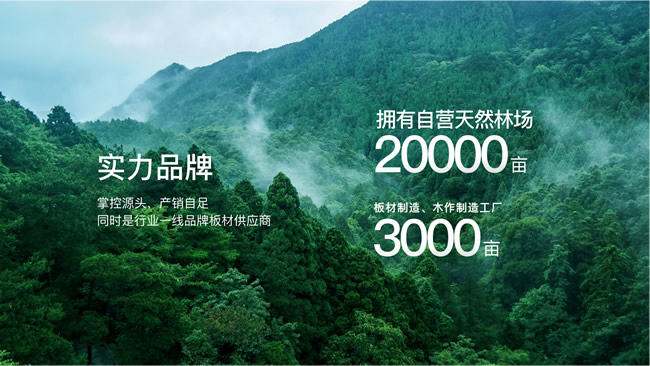 美尼美快装定制 | 美尼美全案整装，以匠心定制人间烟火