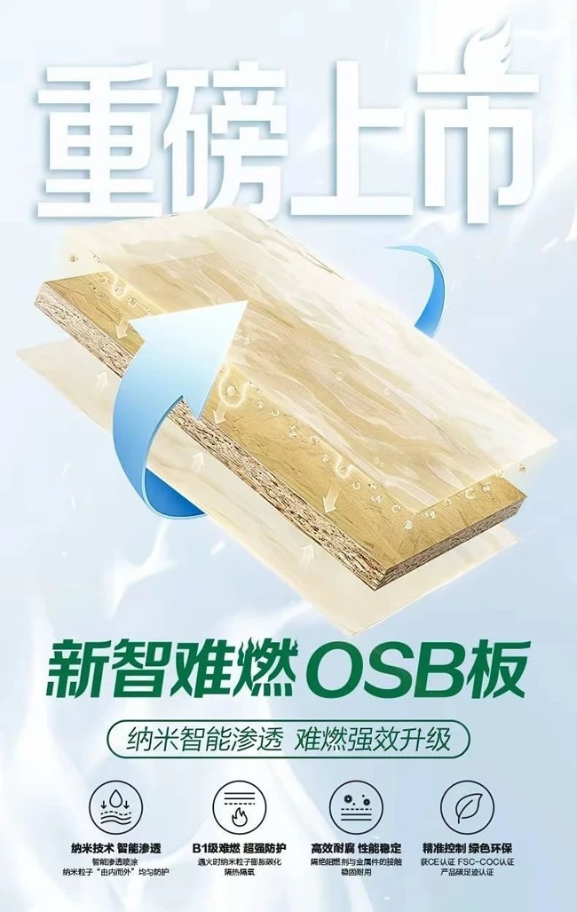 千年舟