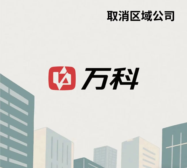 万科取消区域公司对家居家装行业有哪些启示？