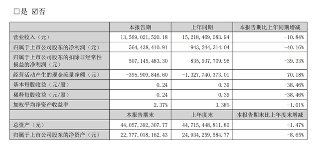 上市龙头企业