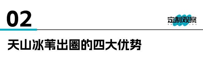 天山冰苇