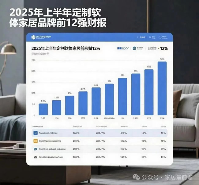2025年上半年定制软体前12强上市公司财报
