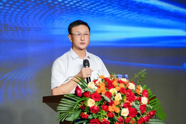 王力安防