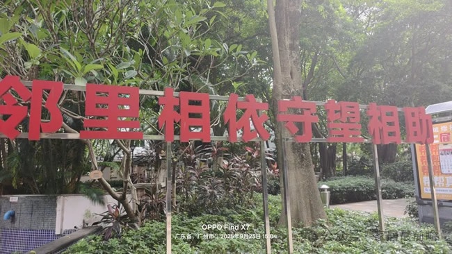 失败案例