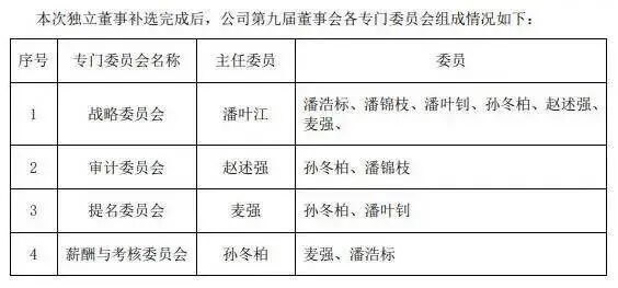 内斗11年终“改姓”：华帝能回归正轨吗？