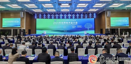 林木业大会