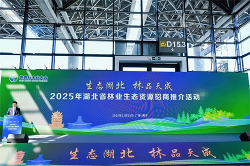 林木业大会
