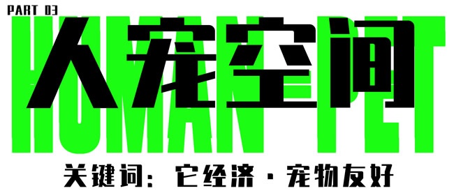 家居设计周