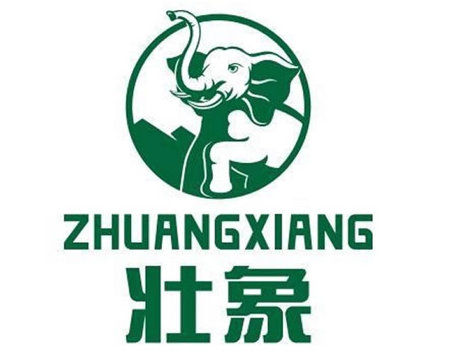 壮象